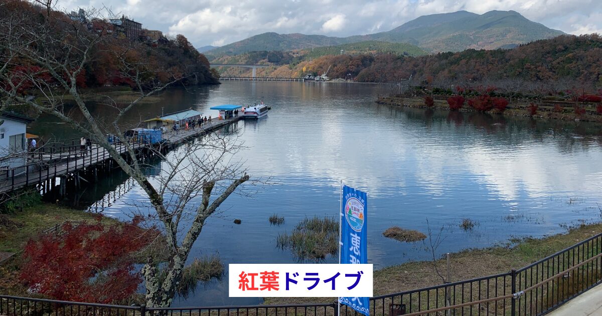 秋の紅葉ドライブ