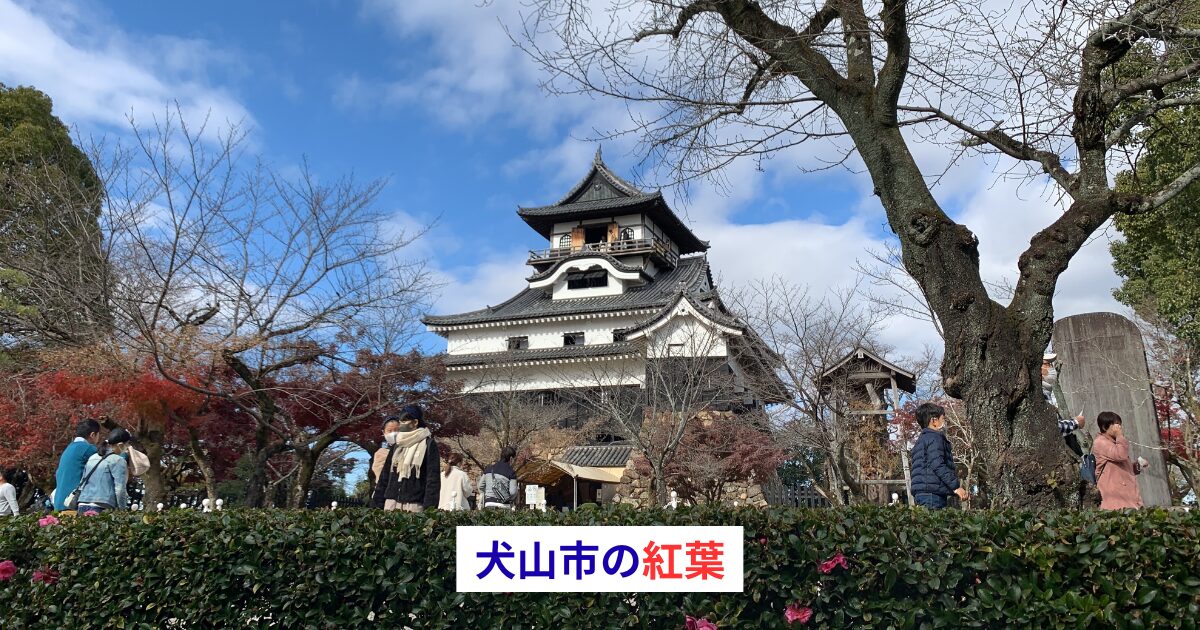 犬山市の紅葉