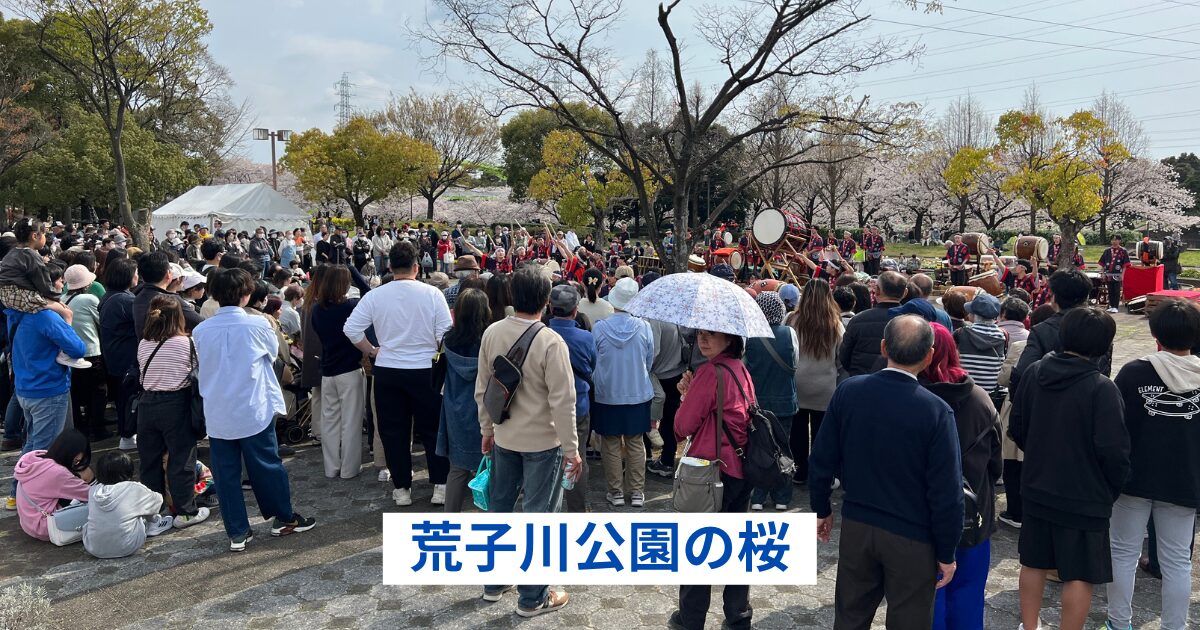 荒子川公園の桜