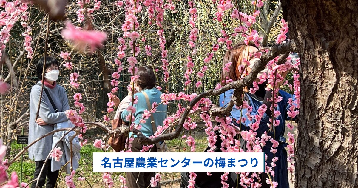 名古屋農業センターの梅まつり