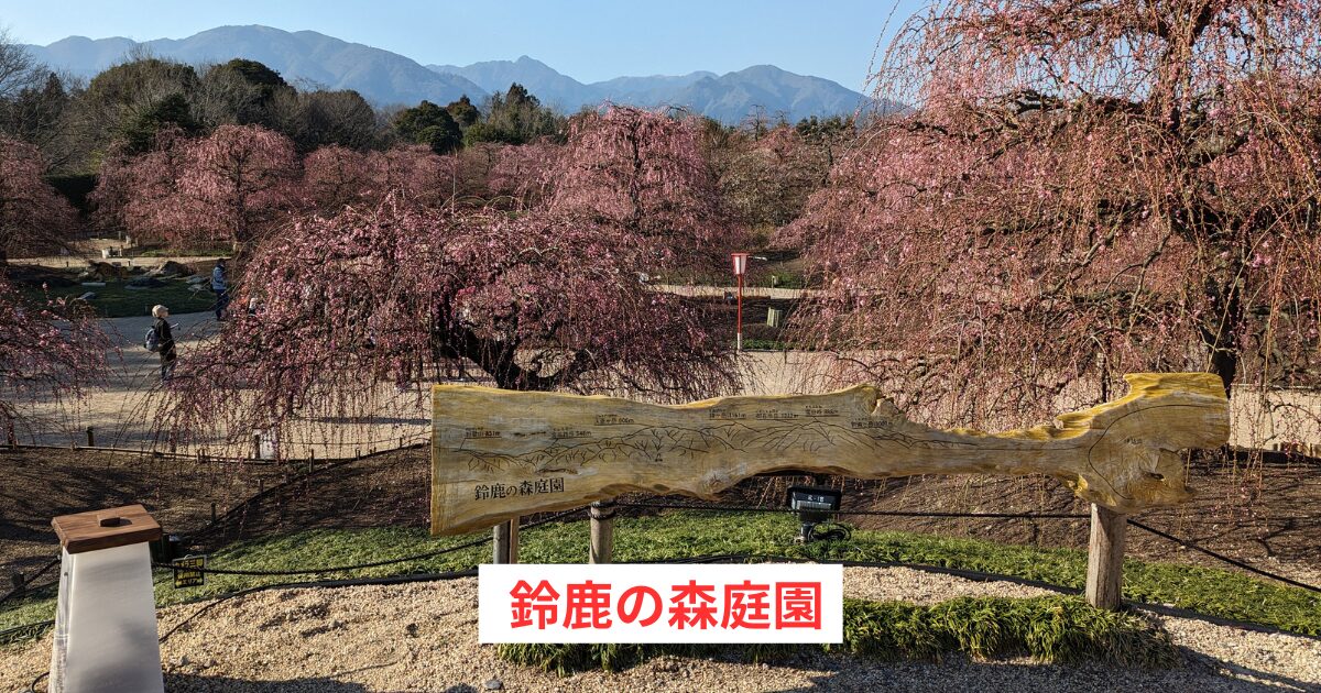 鈴鹿の森
