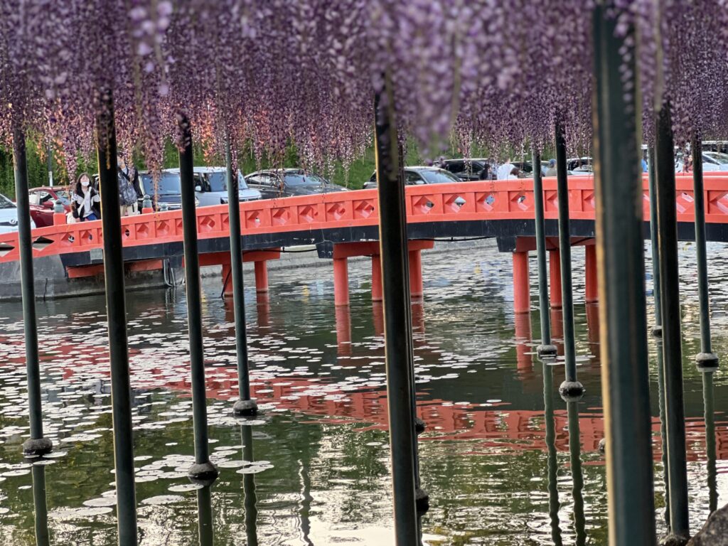 愛知県津島市の天王川公園