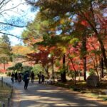 東山植物園