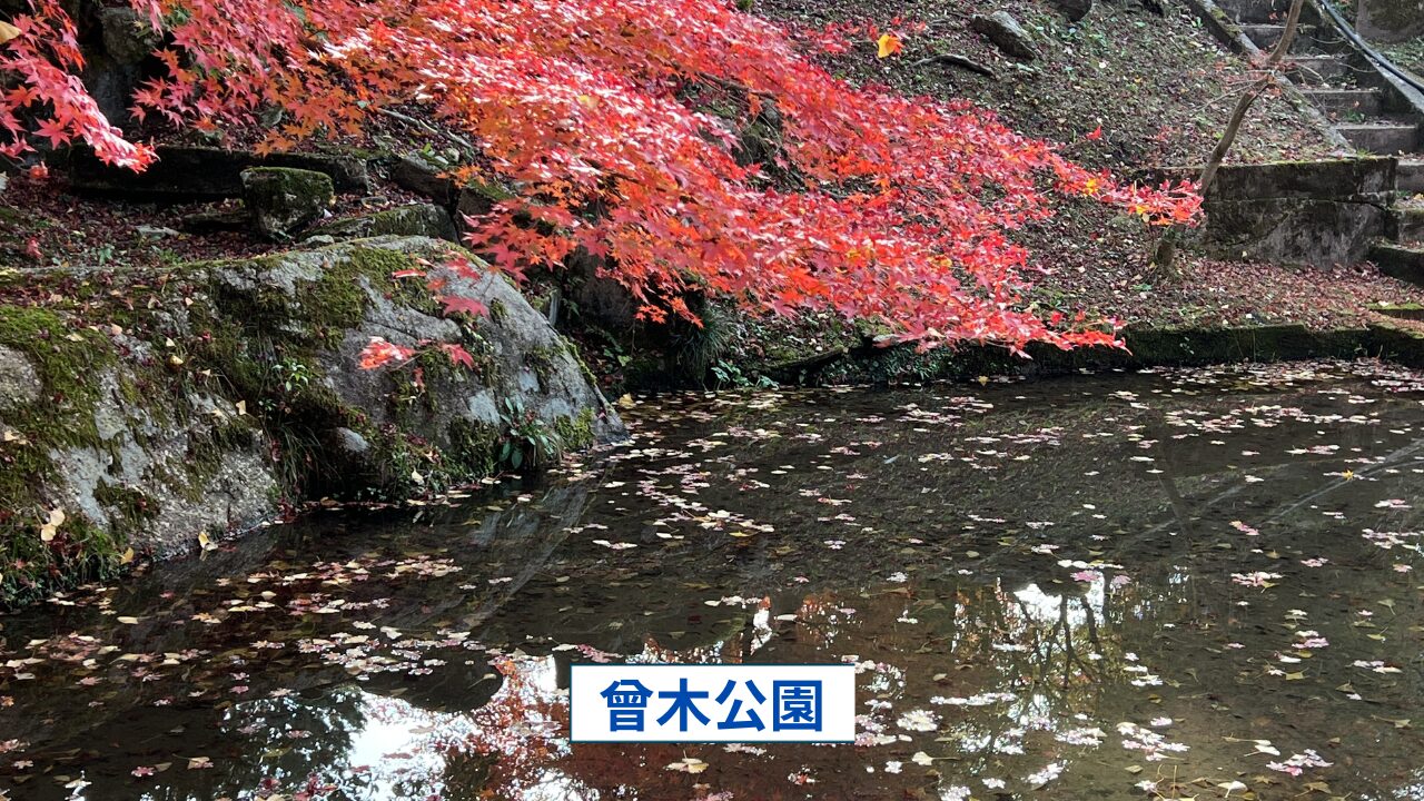 岐阜県の曾木公園