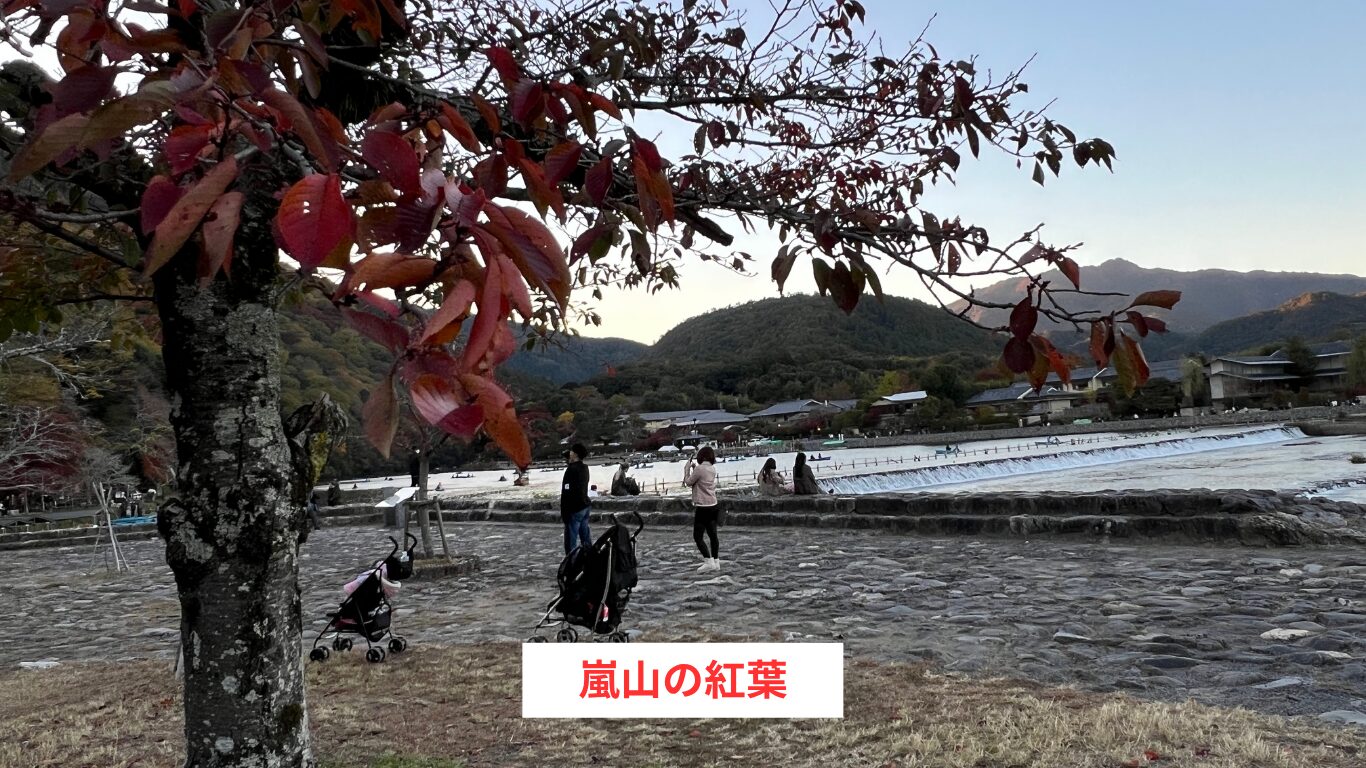 京都嵐山の紅葉