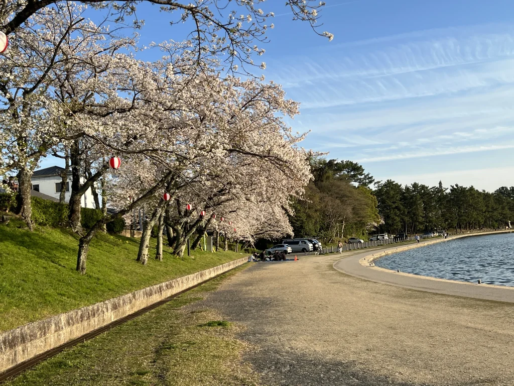 天王川公園の桜まつり