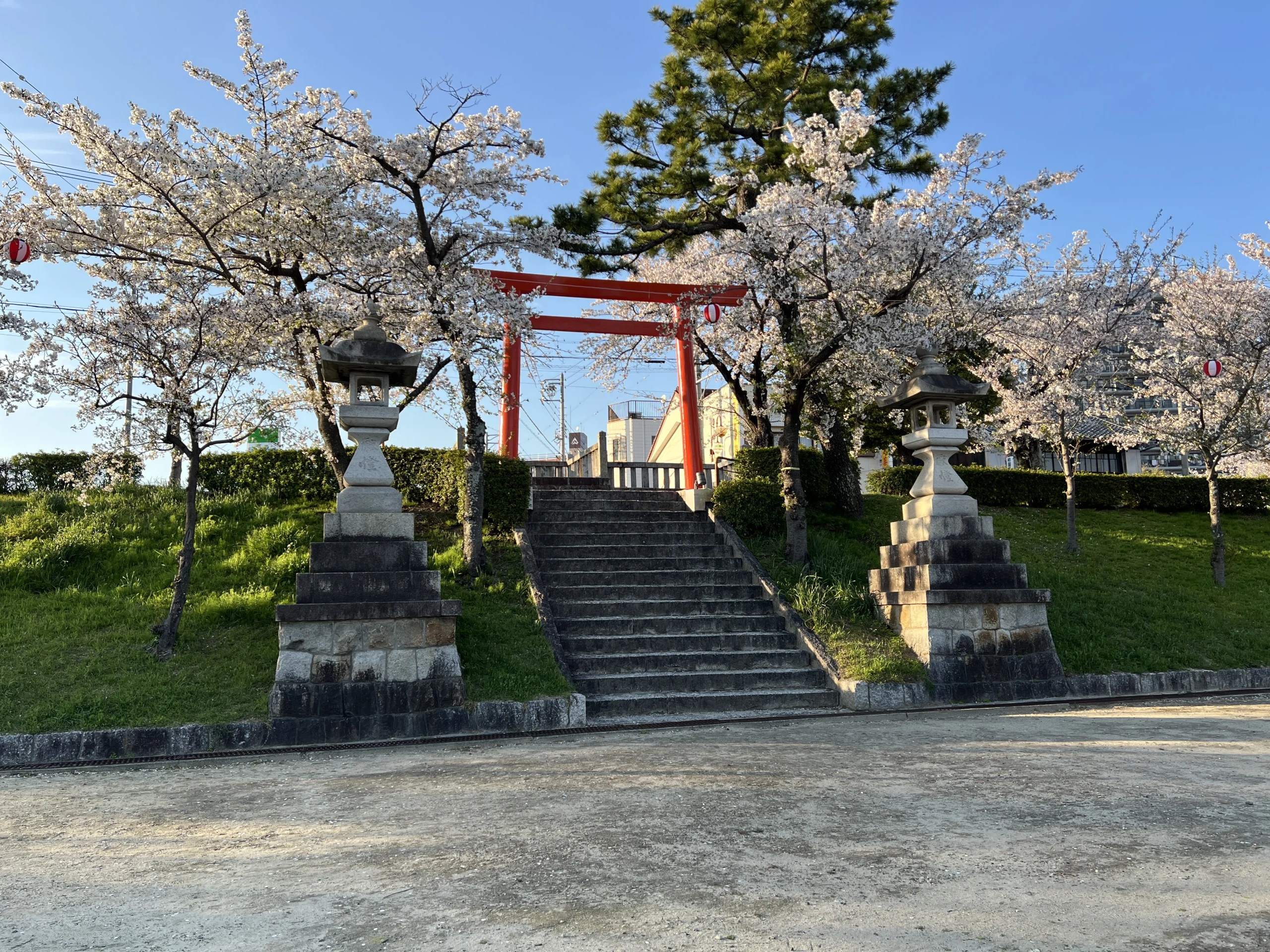 愛知県津島市天王川公園の桜まつり